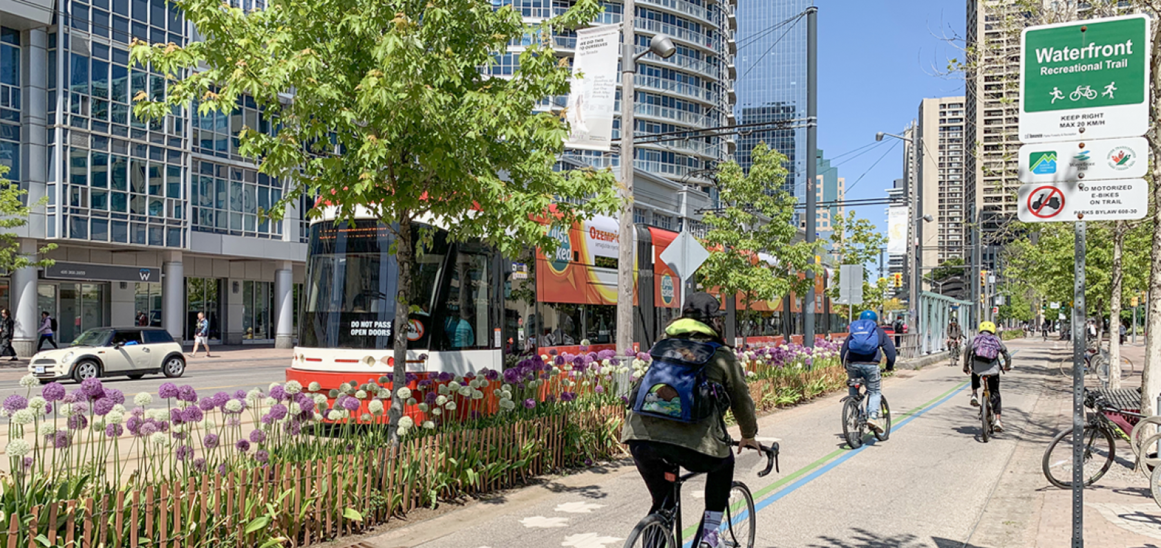 Queens Quay Planting Pilot